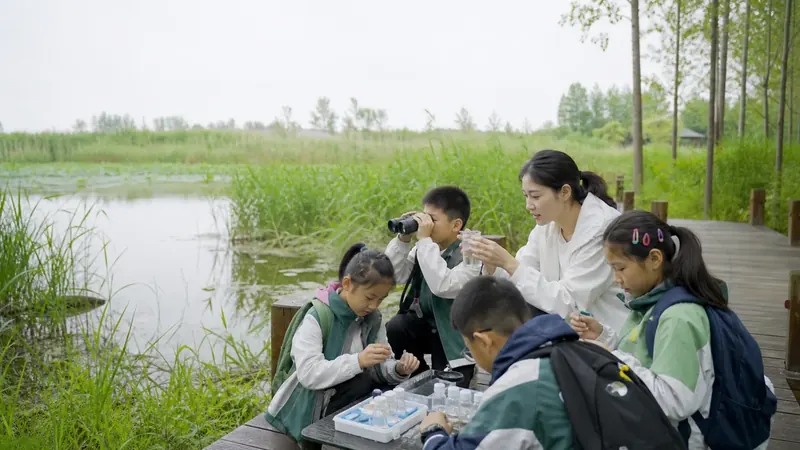 太湖湿地与候鸟观察 · 生态三日营研学场景封面